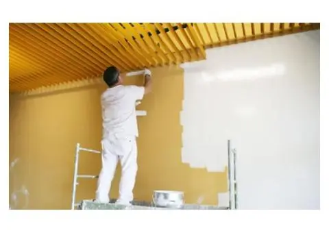 Transform Your Space with Professional Painters in Melbourne