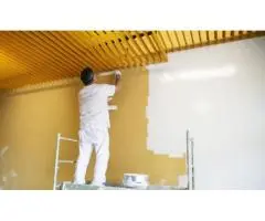 Transform Your Space with Professional Painters in Melbourne