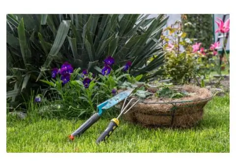 Affordable & Professional Gardening Services in Adelaide