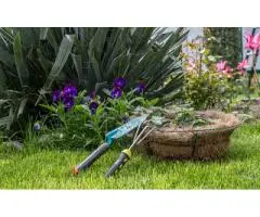 Affordable & Professional Gardening Services in Adelaide