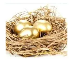 SMSF Property Advisory | SMSF Property Valuation | FVG Property
