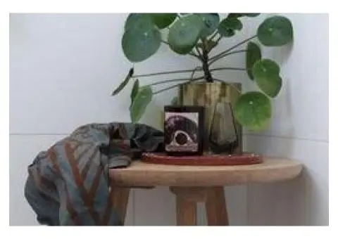 Handcrafted Soy Candles Available Online for Your Home and Wellbeing