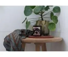 Handcrafted Soy Candles Available Online for Your Home and Wellbeing