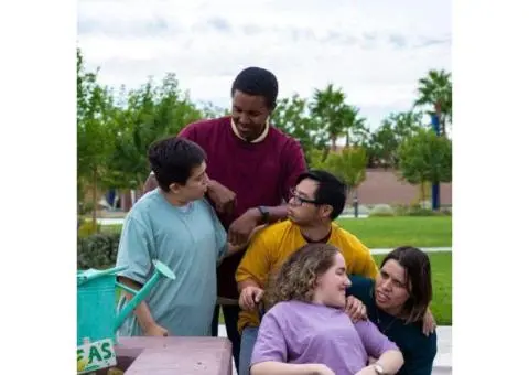 Person-Centric NDIS Support Coordination In Melbourne