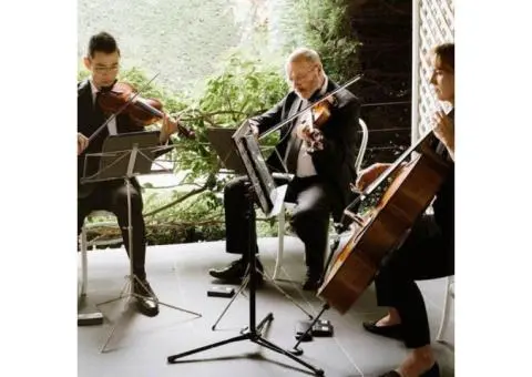 Elegant String Quartet for Weddings & Events | String Musicians Australia - 2/4