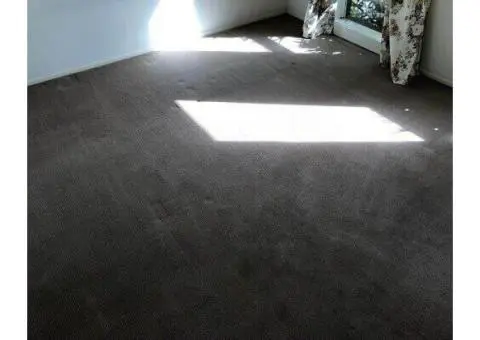 Deep Clean Solutions with Steam Cleaning in Melbourne
