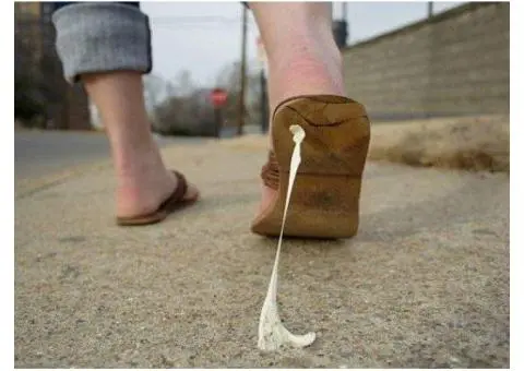 Chewing Gum Removal Service