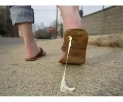 Chewing Gum Removal Service