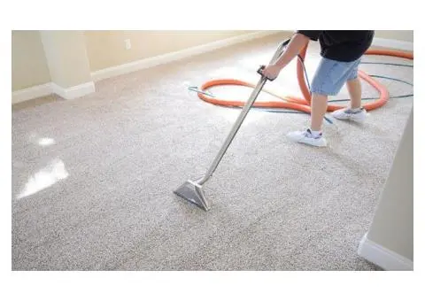 Freshen Up Your Home with Shire Carpet Clean!