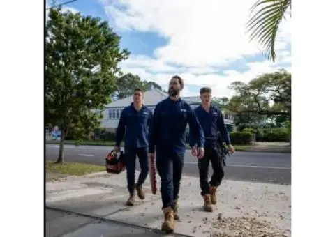 Expert Electrical Wiring Services in Brisbane