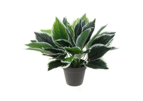 Install Small Artificial Plants for Big Impact