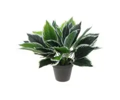 Install Small Artificial Plants for Big Impact