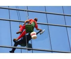 Professional Window Cleaning Sydney