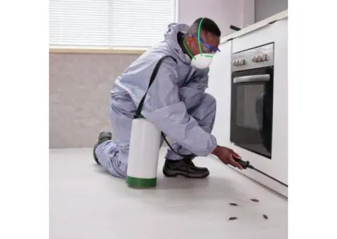 iCarpet Clean & Pest Control: Expert Cleaning & Pest Solutions - 4/4