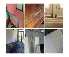 Mould Assessment Sydney | Mould Testing Sydney | Integrated Environmental