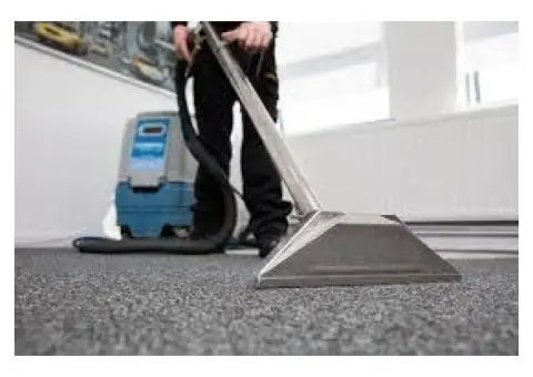 Excellent Carpet cleaning Brisbane Ezydry