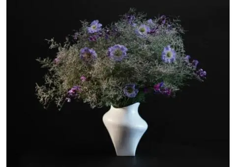 Buy Signature Designer Homewares in Brisbane