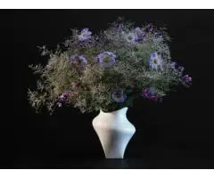 Buy Signature Designer Homewares in Brisbane