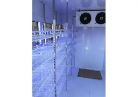 Cool Rooms & Walk-In Freezers: Perfect Storage Solutions