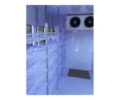 Cool Rooms & Walk-In Freezers: Perfect Storage Solutions