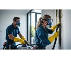 Professional Mould Cleaners Sydney – Fast, Safe & Affordable
