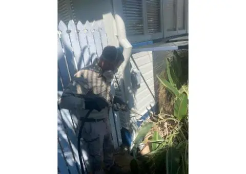 Pest Control Townsville