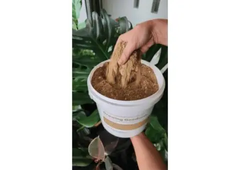 Organic Fertiliser for Sale | Sustainable Gardening Solutions by Soil Dynamics