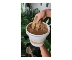 Organic Fertiliser for Sale | Sustainable Gardening Solutions by Soil Dynamics