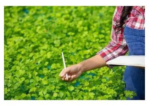Are You Looking for Weed Control in Adelaide