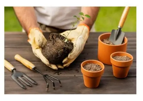 Garden Pots Melbourne