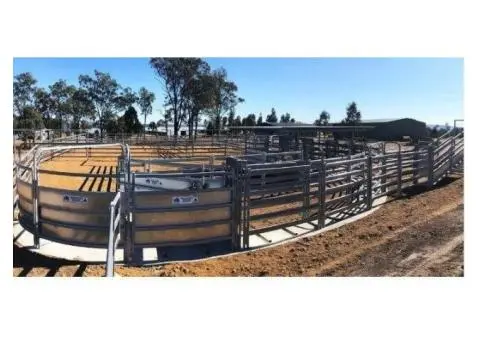 Which Calf Handling Equipment Is Best for Beginner Farmers?