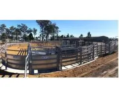 Which Calf Handling Equipment Is Best for Beginner Farmers?