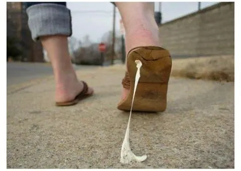 Chewing Gum Removal Service