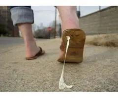 Chewing Gum Removal Service