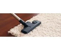 Professional Carpet Cleaning Service in Sydney