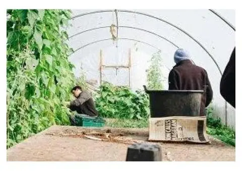 Master the Art of Biodynamic Gardening in Brisbane