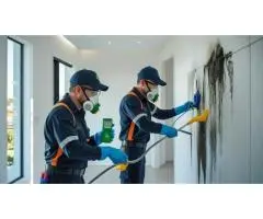 Professional Mould Removal Sydney – Safe, Fast & Affordable