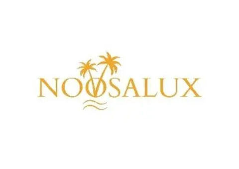 Luxury Noosa Airport Transfers for Premium Travel Comfort