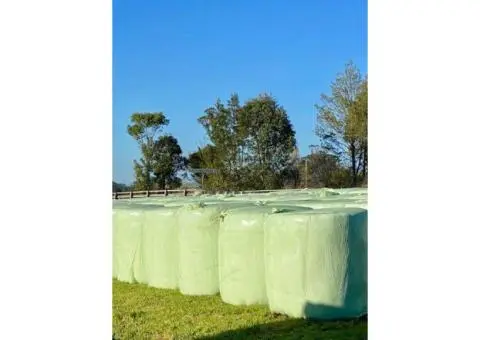 Silage Plastic
