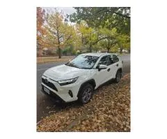 2024 TOYOTA RAV4 GX (2WD) HYBR