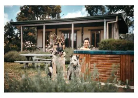 Holiday Pet-Friendly Accommodation in Gloucester - Dam It Getaway