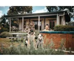 Holiday Pet-Friendly Accommodation in Gloucester - Dam It Getaway