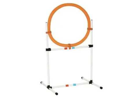 Shop Dog Agility Equipment for Training & Fun  - K9 Escapade - 1/3