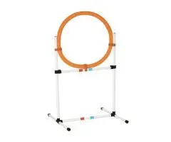 Shop Dog Agility Equipment for Training & Fun  - K9 Escapade