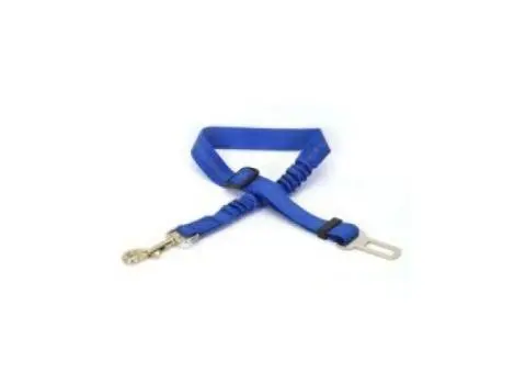 Shop Dog Agility Equipment for Training & Fun  - K9 Escapade - 3/3