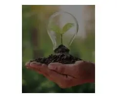 Soil Dynamics: Premium Indoor Plant Fertilisers for Healthy Growth Naturally