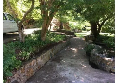 Professional Landscaping in Sunbury