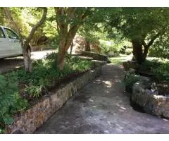 Professional Landscaping in Sunbury