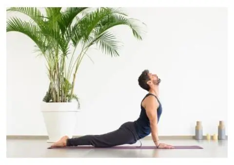 Online Classes For Yoga Breathwork - 2/2