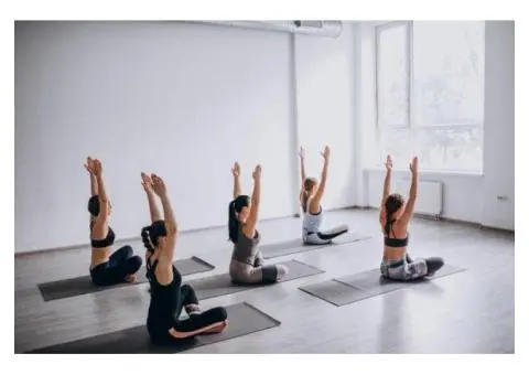 Modern Movement – Yoga Mona Vale & Yoga Studio Manly for All Levels